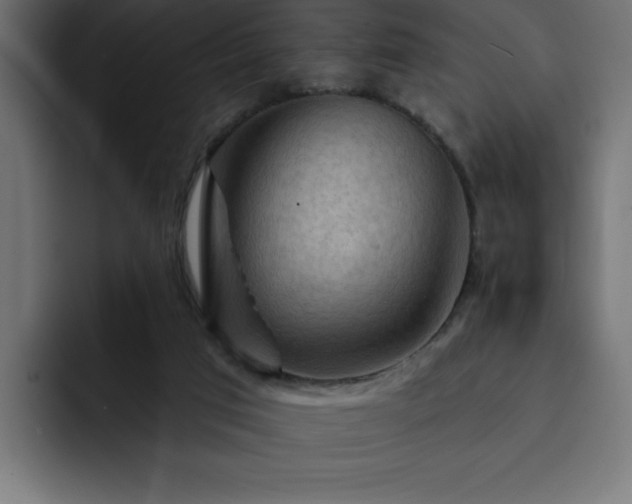 X0000093110017200710031324