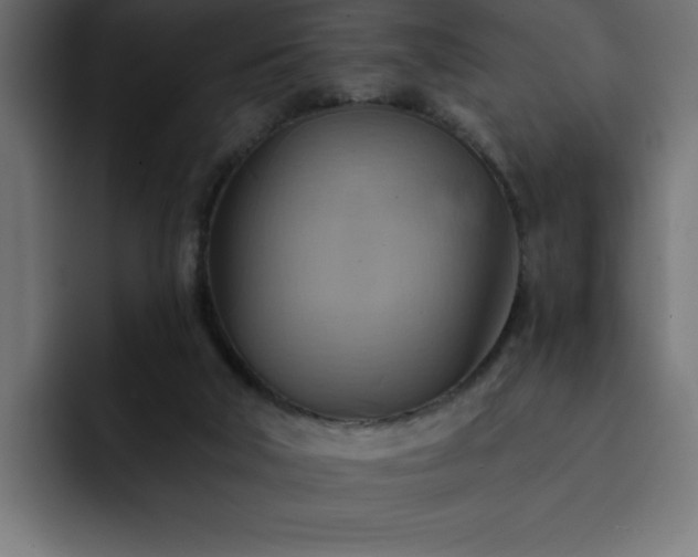 X0000093110018200710031324