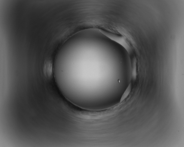 X0000093110021200710031324