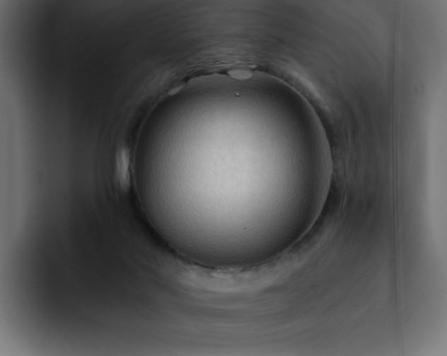 X0000093110022200710031324