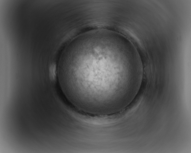 X0000093110024200710031324