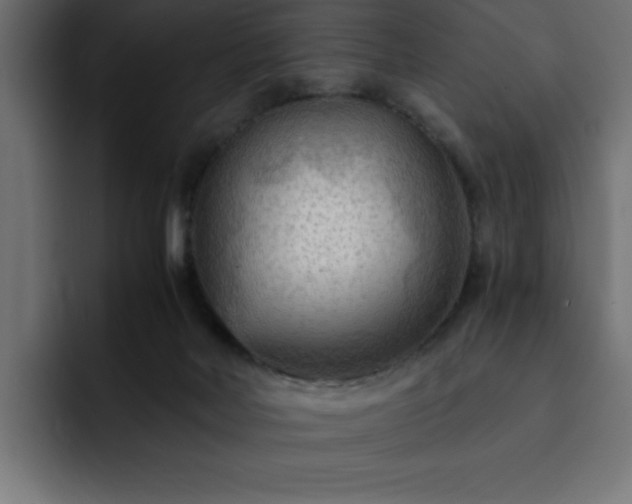 X0000093110026200710031324