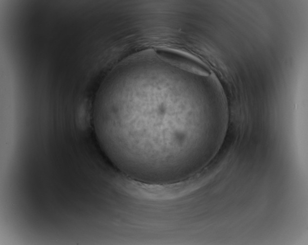 X0000093110030200710031324