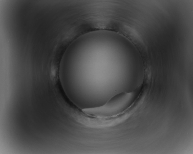 X0000093110031200710031324