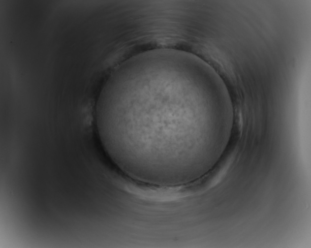 X0000093110032200710031324