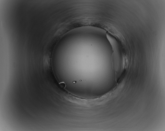 X0000093110035200710031324