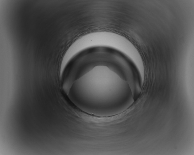 X0000093110039200710031324