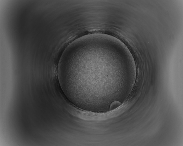 X0000093110048200710031324