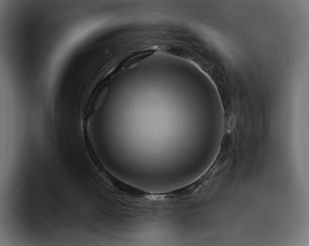 X0000093110052200710031323