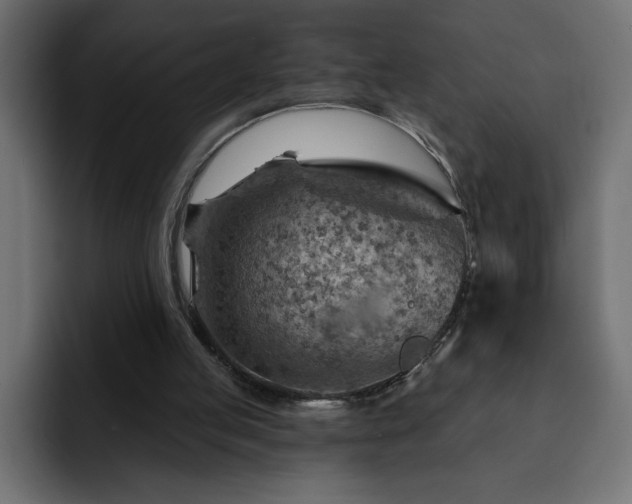 X0000093110053200710031323