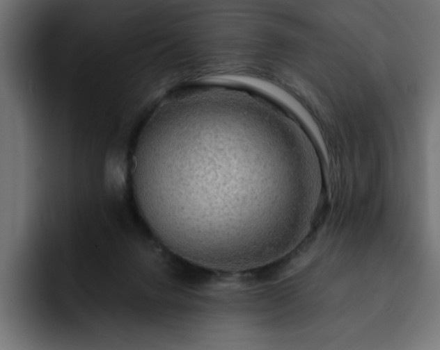 X0000093110072200710031323