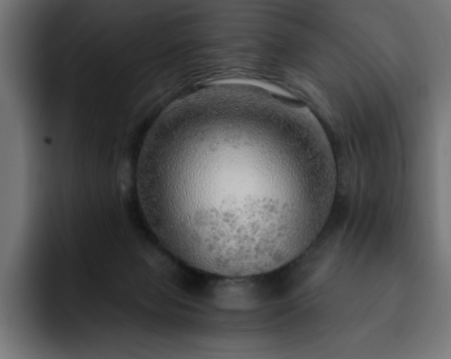 X0000093110077200710031323