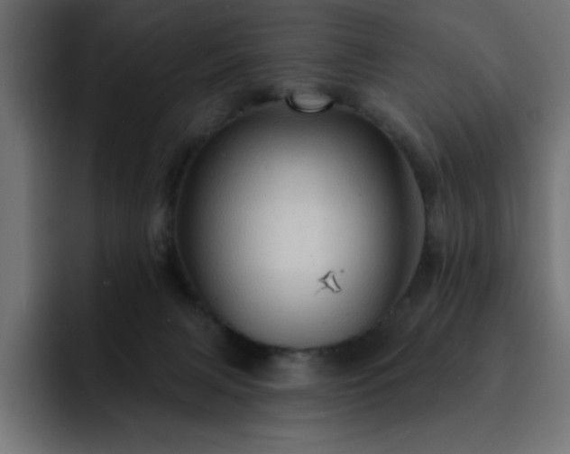 X0000093110079200710031323