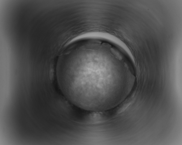X0000093110080200710031323