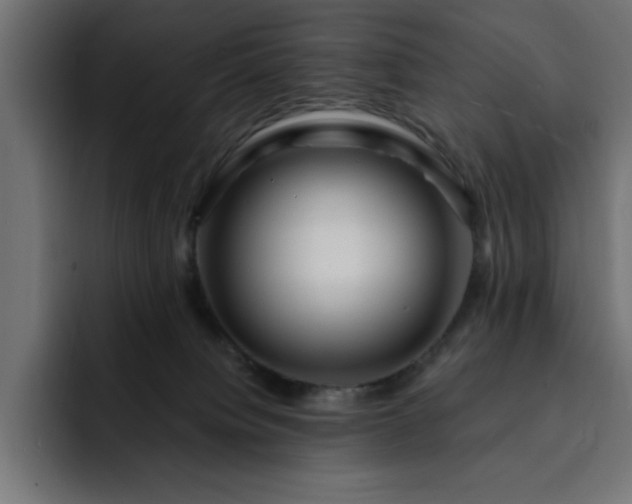 X0000093110084200710031323