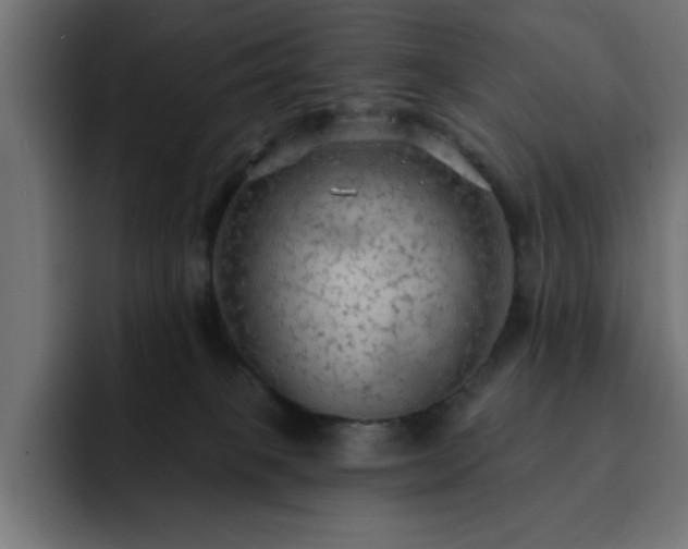 X0000093110085200710031324