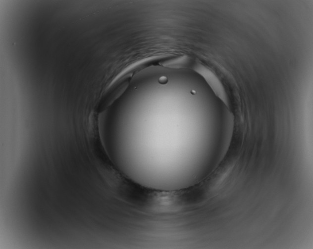 X0000093110088200710031324