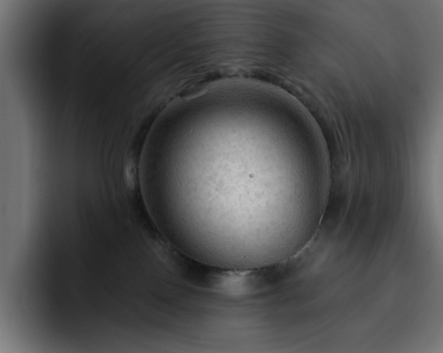 X0000093110090200710031324