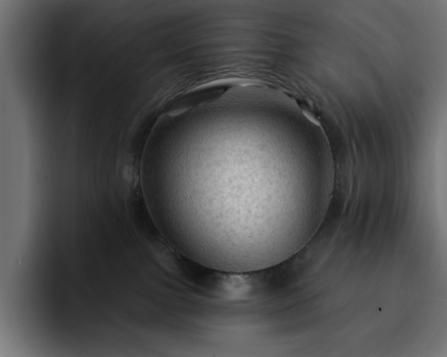 X0000093110091200710031324