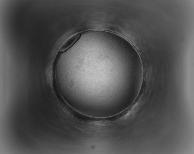 X0000093110103200710031323