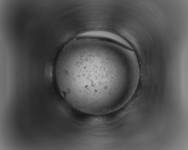 X0000093110115200710031323