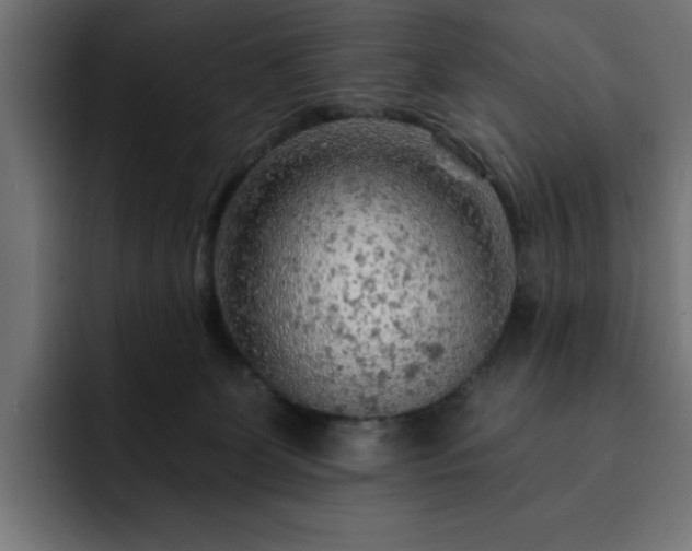 X0000093110131200710031323