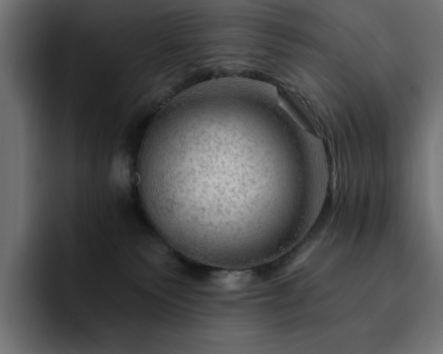 X0000093110135200710031323