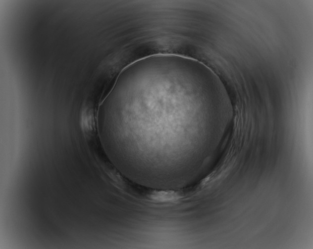 X0000093110137200710031323