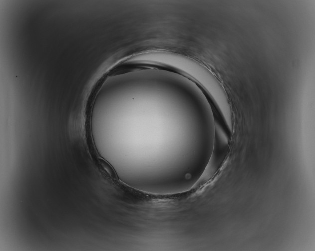 X0000093110150200710031322
