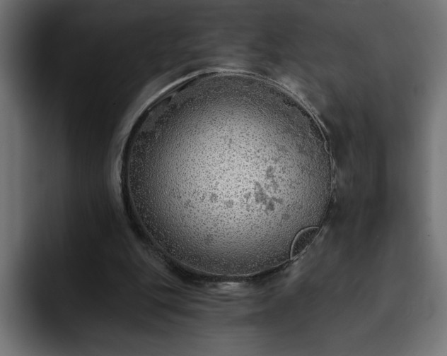 X0000093110151200710031322
