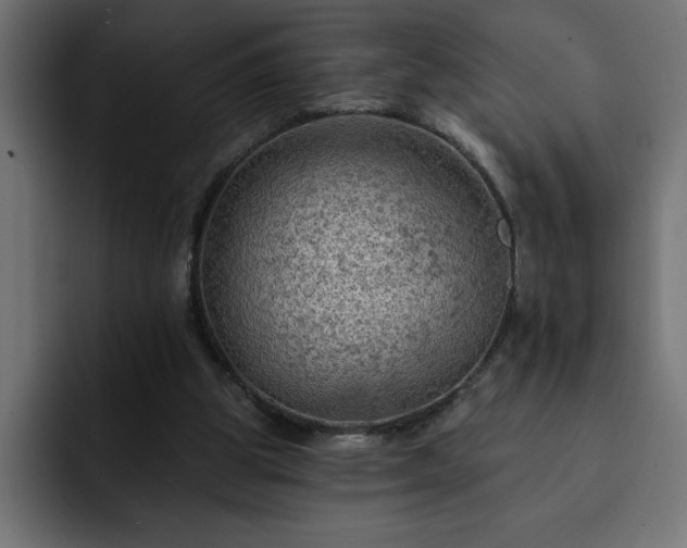 X0000093110153200710031322