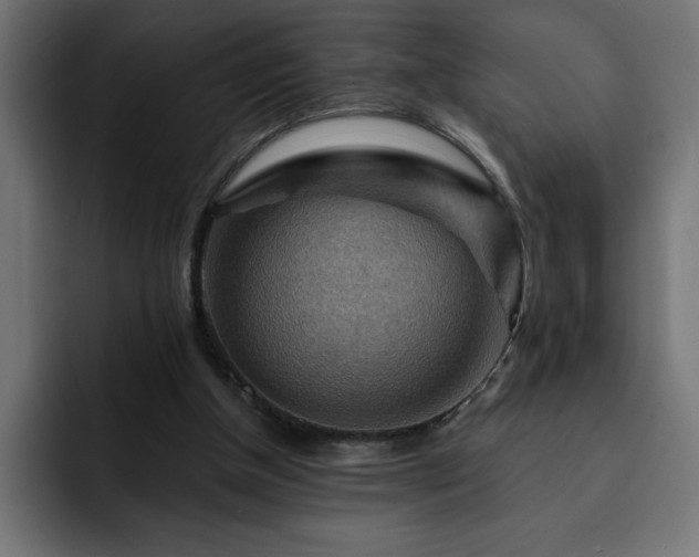 X0000093110154200710031322