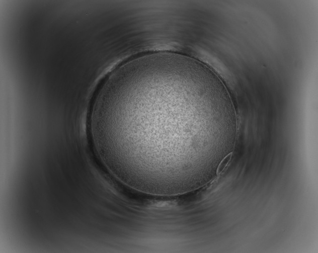 X0000093110155200710031322