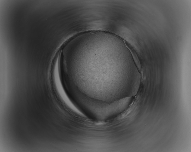 X0000093110156200710031322