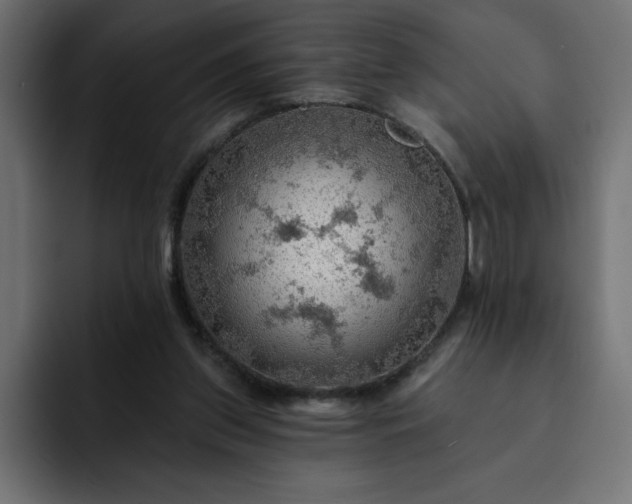 X0000093110157200710031322