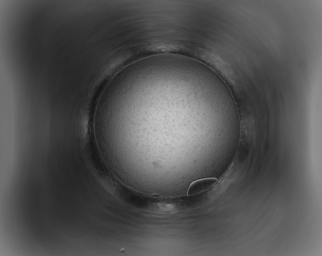 X0000093110159200710031322