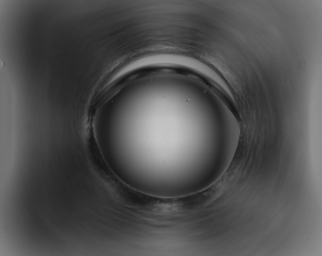 X0000093110160200710031322