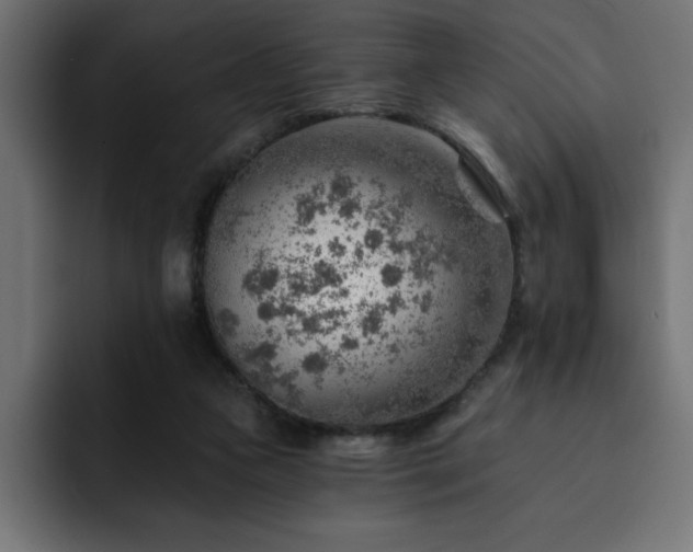 X0000093110161200710031322
