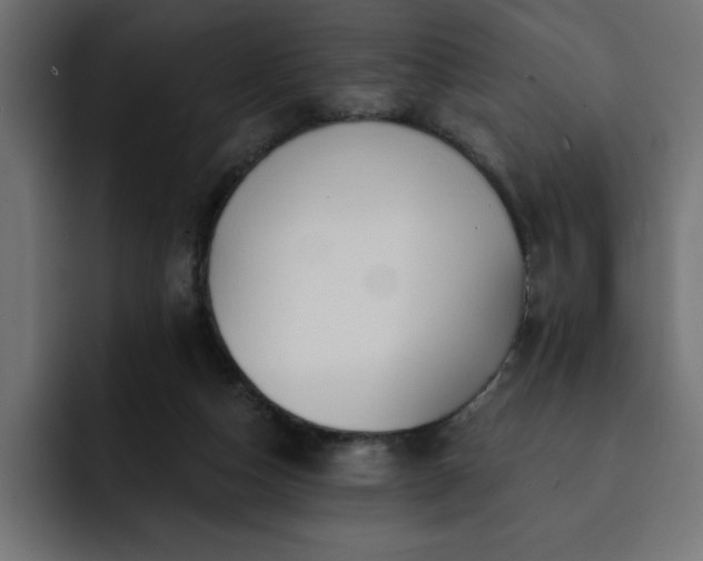 X0000093110162200710031322