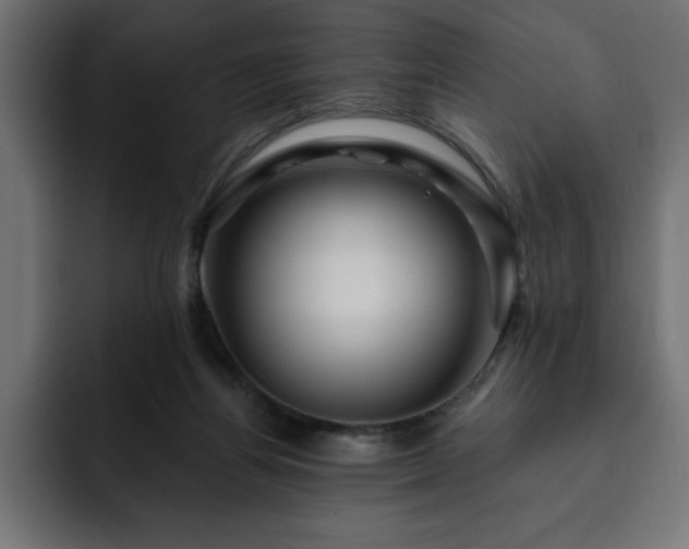 X0000093110164200710031322
