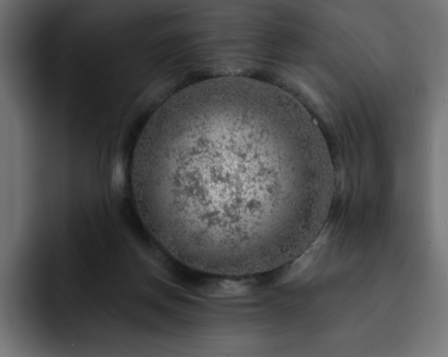 X0000093110166200710031322