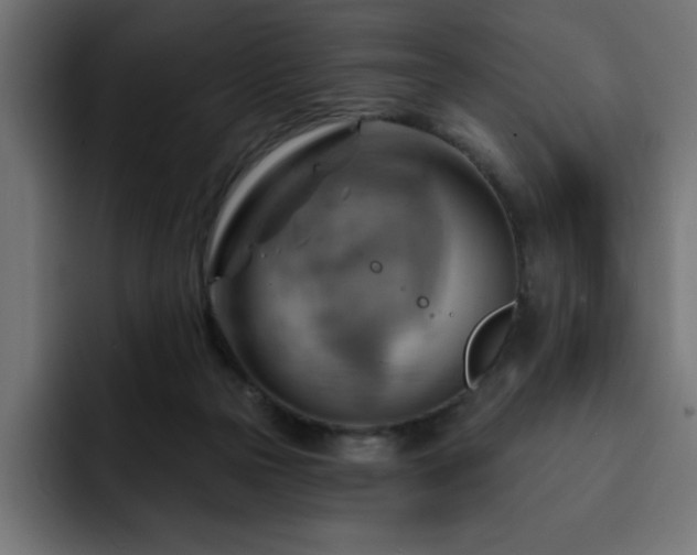 X0000093110169200710031322