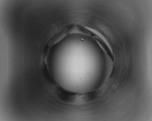 X0000093110172200710031322