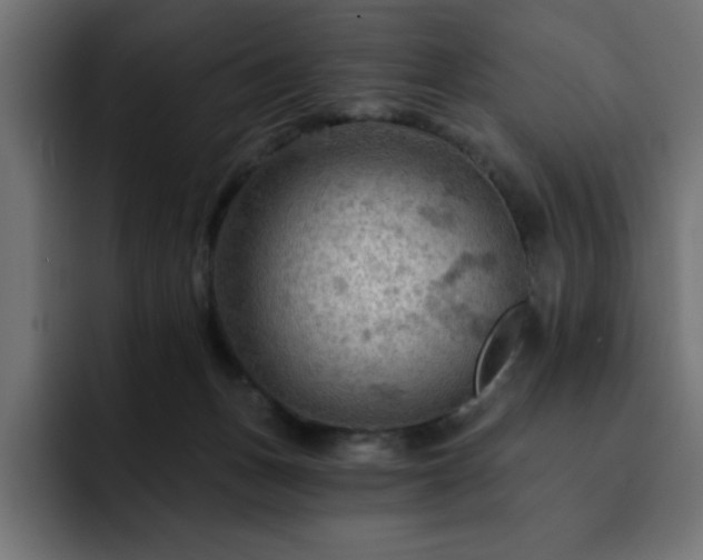 X0000093110175200710031322