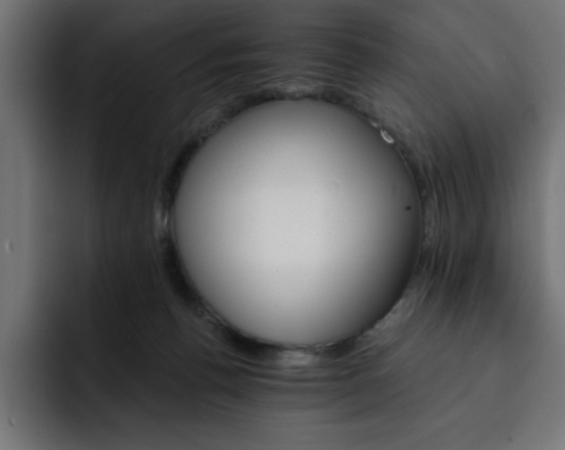 X0000093110176200710031322