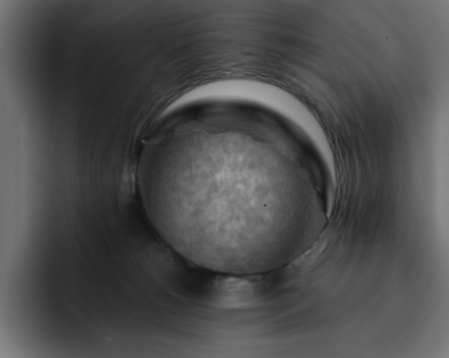 X0000093110180200710031322