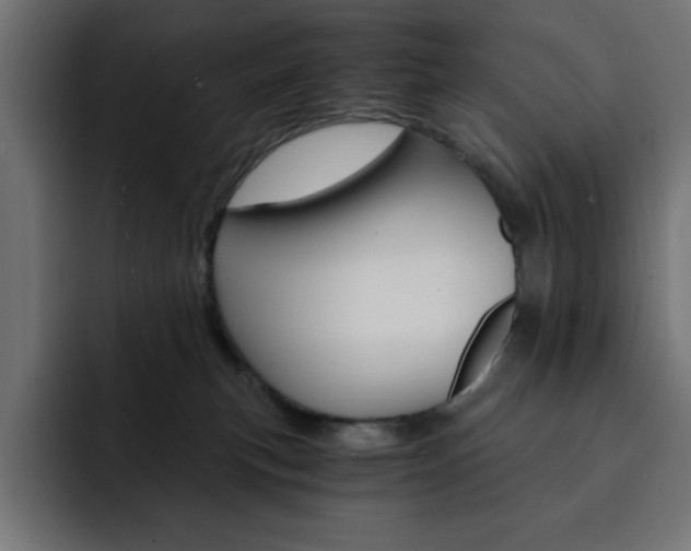 X0000093110183200710031322