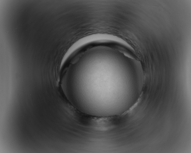 X0000093110186200710031322