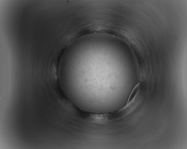 X0000093110187200710031322