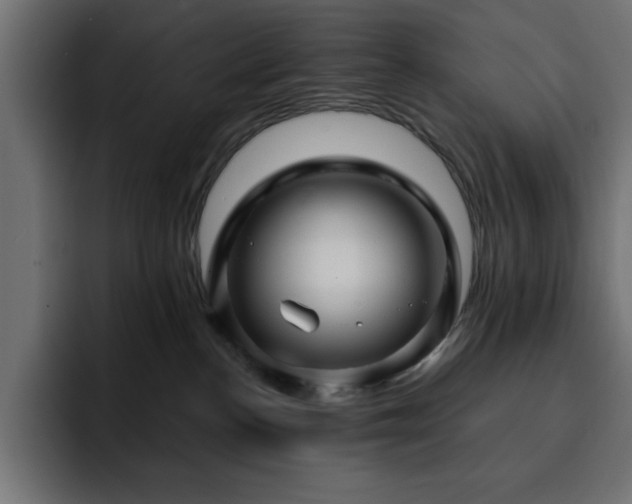 X0000093110188200710031322